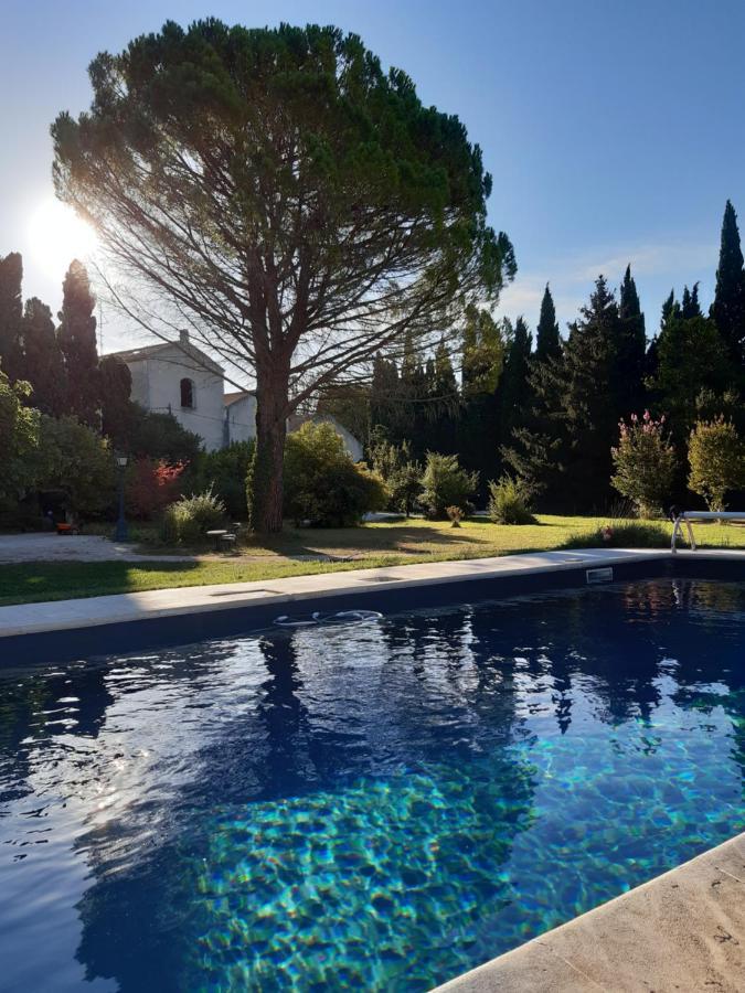 Remy A Dit Saint-Remy-de-Provence Exterior photo